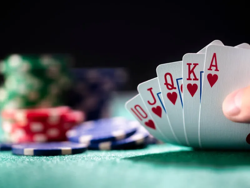 Elegant gaming suite featuring a focused player at a roulette station — the signature D880 branding style.